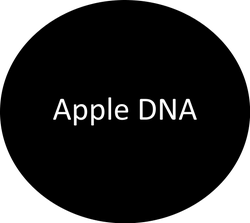 Apple DNA | Apple Ford Apple Valley in Apple Valley MN